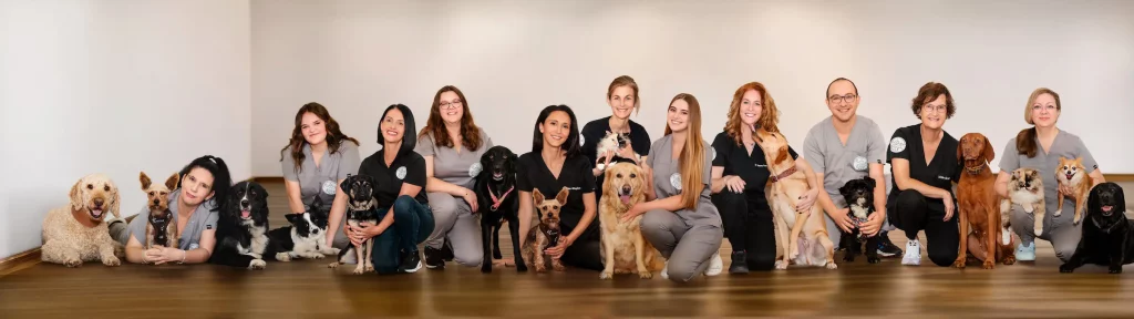 Das Team der Tierarztpraxis am Atzelberg